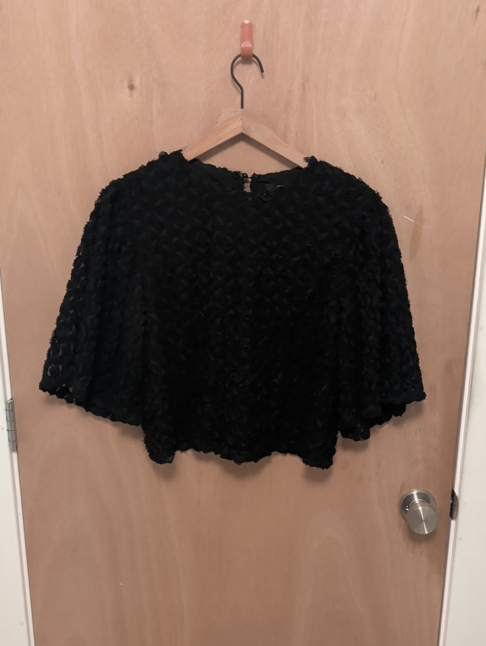 Forever 21 Black Lace Cropped Blouse
